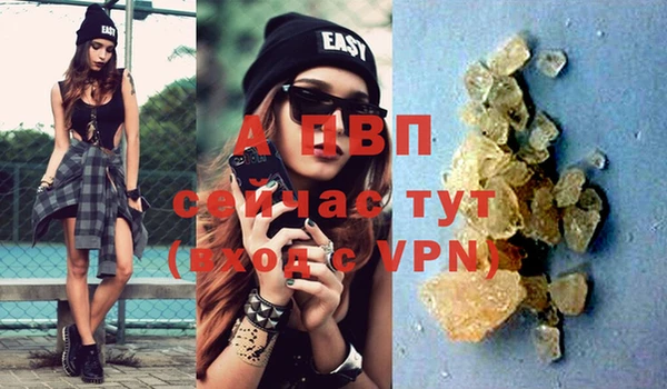 прущие грибы Медвежьегорск