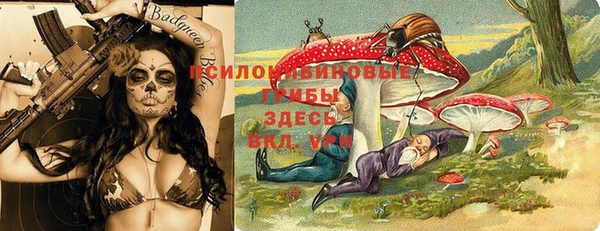 прущие крисы Алексин