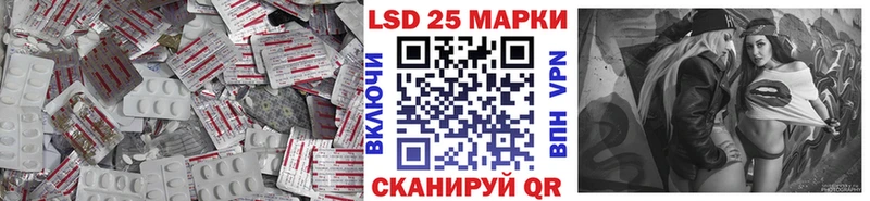 omg маркетплейс  как найти   Новоузенск  Лсд 25 экстази ecstasy 
