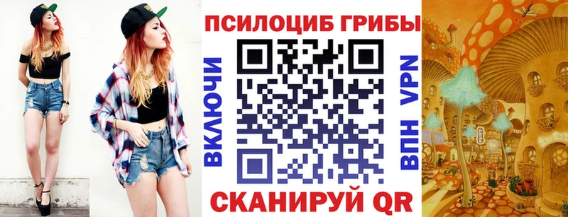 Галлюциногенные грибы Psilocybine cubensis Новоузенск